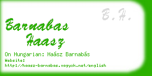 barnabas haasz business card